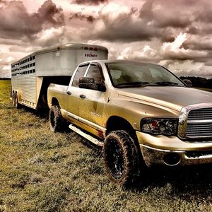 Meet your Posher, Wyatt